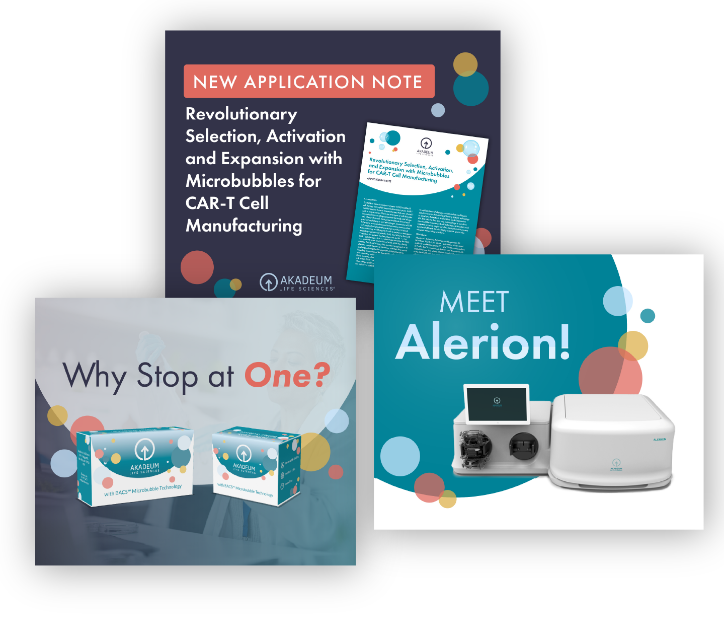 Social Ads - LinkedIn